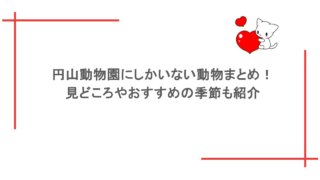 円山動物園にしかいない動物まとめ！見どころやおすすめの季節も紹介