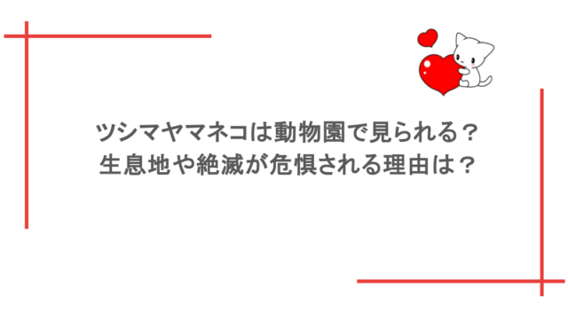 ツシマヤマネコは動物園で見られる?生息地や絶滅が危惧される理由は?