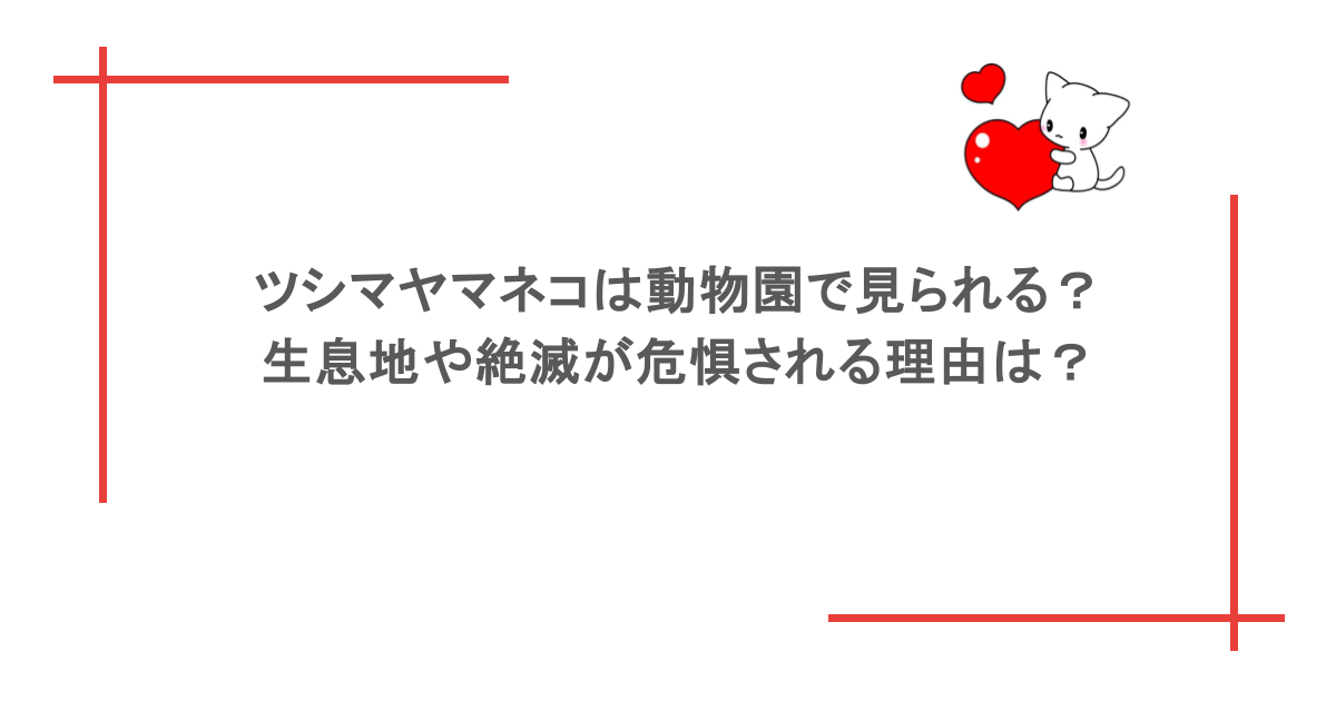 ツシマヤマネコは動物園で見られる？生息地や絶滅が危惧される理由は？