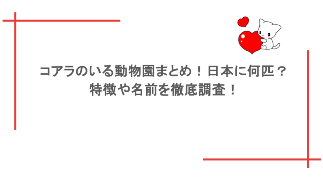 コアラのいる動物園まとめ!日本に何匹?特徴や名前を徹底調査!