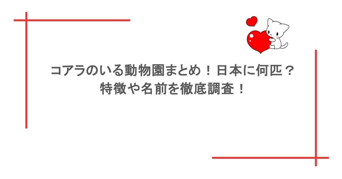コアラのいる動物園まとめ！日本に何匹？特徴や名前を徹底調査！