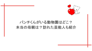 パンチくんがいる動物園はどこ？本当の母親は？訪れた芸能人も紹介
