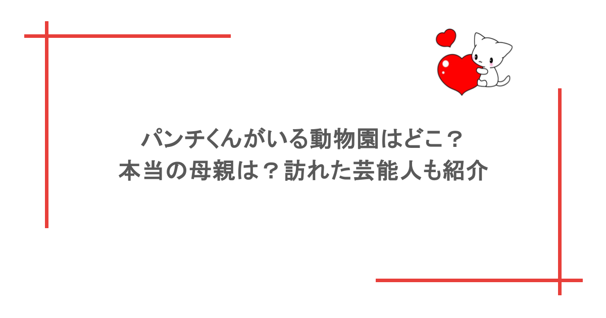 パンチくんがいる動物園はどこ？本当の母親は？訪れた芸能人も紹介
